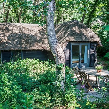Aa Casia Vakantiehuis Zeegse Exteriör bild