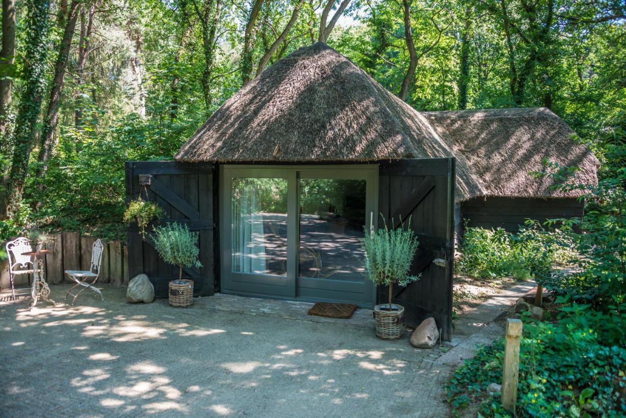 Aa Casia Vakantiehuis Zeegse Exteriör bild