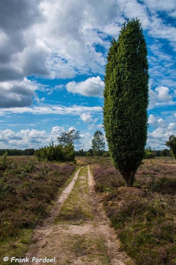 Aa Casia Vakantiehuis Zeegse Exteriör bild